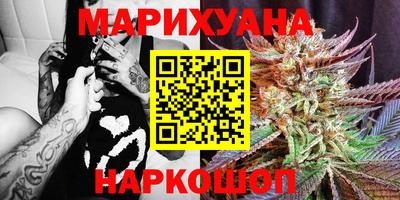 прущие крисы Шелехов