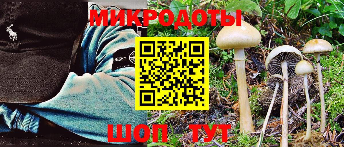 Галлюциногенные грибы мухоморы  Галлюциногенные грибы мухоморы  Йошкар-Ола  Вход с VPN 